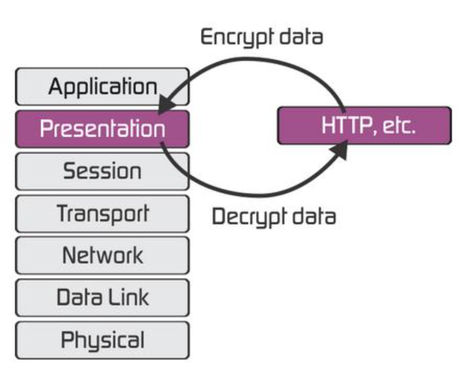 OSI Presentation Layer